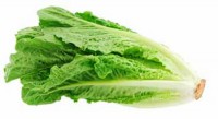 Lechuga Costina