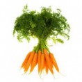 Zanahoria Paquete